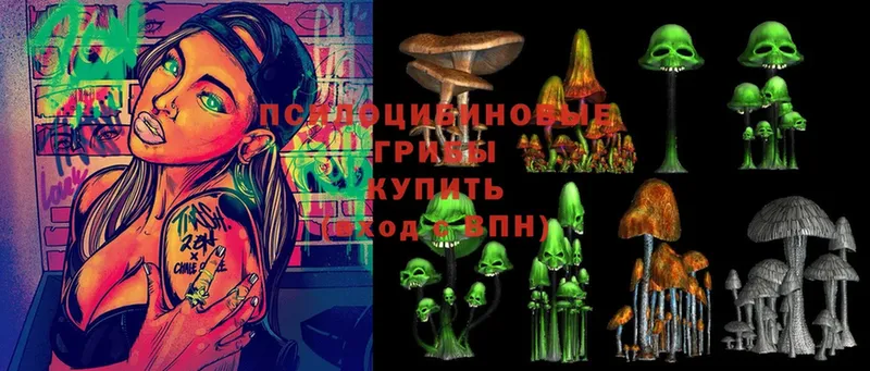 Псилоцибиновые грибы Cubensis  Горняк 